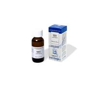 SARANDREA MARCO &C. Srl RIBES NIGRUM 100ML MG SARANDREA