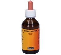 Ribes Nigrum 100 ml Soluzione orale