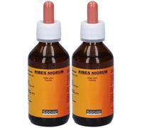 Ribes Nigrum 2x100 ml Soluzione orale