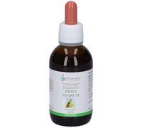 Arcangea Ribes Nigrum 33% Bio Mg Gemmoderivato 50 Ml