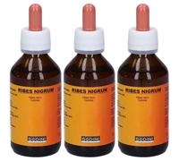Ribes Nigrum 3x100 ml Soluzione orale
