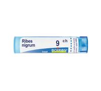 Ribes Nigrum 9Ch Gr 4 g Granuli