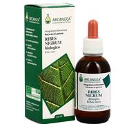 Arcangea RIBES NIGRUM GEMMODERIVATO 33 BIO 100 ML