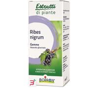 BOIRON Macerato Glicerico - Ribes Nigrum, 60ml