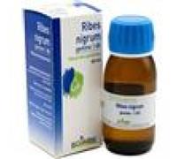 RIBES NIGRUM GEMME 60ML MG