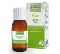 Boiron RIBES NIGRUM MACERATO GLICERICO 60 ML INT