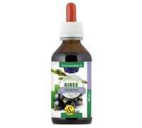 Ribes Nigrum Gemmoderiv 100ml