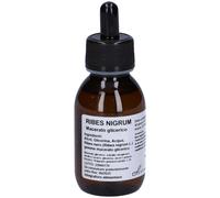 Ribes Nigrum Macerato Glicerico 10% Gocce 100 ml Gocce orali