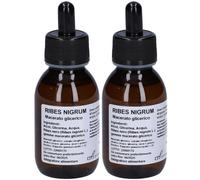 Ribes Nigrum Macerato Glicerico 10% Gocce 2x100 ml Gocce orali