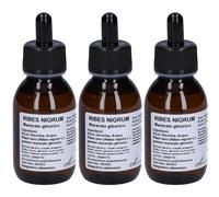 Ribes Nigrum Macerato Glicerico 10% Gocce 3x100 ml Gocce orali
