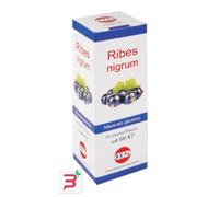 RIBES NIGRUM MACERATO GLICERICO 100 ML GOCCE