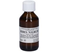 Sarandrea Ribes Nigrum Macerato Glicerico 100 ml