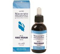 RIBES NIGRUM MACERATO MAGE50ML