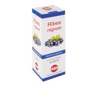 KOS RIBES NIGRUM MACERATO GLICERICO 100ML GOCCE KOS