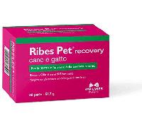 RIBES PET RECOVERY 60PRL
