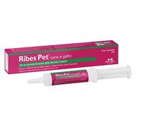 RIBES PET Pasta 30g