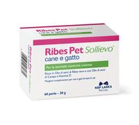RIBES PET PERLE APPETIBILI 60 PERLE CANE GATTO SOLLIEVO REATTIVITÀ NORMALE