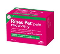 RIBES PET Recovery 60 Perle