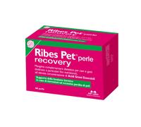 Nbn Lanes Ribes Pet Recovery Integratore Dermatite Cani E Gatti 60 Perle