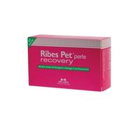 RIBES PET RECOVERY 60PRL
