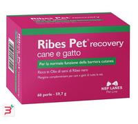 RIBES PET RECOVERY 60PRL