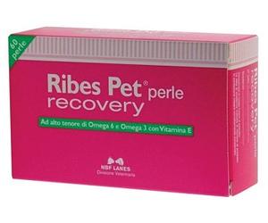 Ribes Pet Recovery Blister 60 Perle