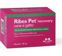 | Ribes Pet Recovery Cane E Gatto, 60 Perle Appetibili, per La Normale Funzione