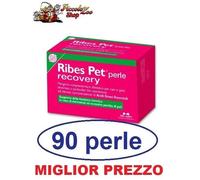 Ribes Pet Recovery cane e gatto 90 perle integratore contro dermatite allergia