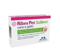 RIBES PET SOLLIEVO 30PRL