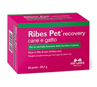 RIBES PET SOLLIEVO BLISTER 60 PERLE