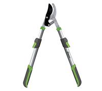 Ribimex PRCBT98 Troncarami Estensibile, 95 cm, Verde/Grigio