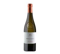 Ribolla Gialla Villa Folini 2025