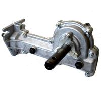 RIC.PAPILLON - MOTOZAPPA 52118 GRUPPO TRASMISSIONE P.43