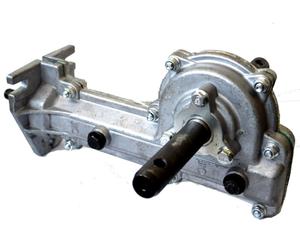 RIC.PAPILLON - MOTOZAPPA 52118 GRUPPO TRASMISSIONE P.43