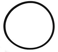 RIC.PAPILLON - RASAERBA 52081-95483 CINGHIA PART. 35