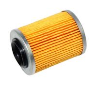 Ricambi filtro olio ATV UTV accessori di ricambio #0800-011300 pratico