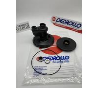 RICAMBI PEDROLLO PER POMPA JSW/m 2CX - GIRANTE + EIETTORE + TENUTA + GUARNIZIONE