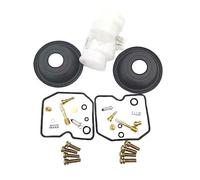 Ricambi per carburatori 500 Kit riparazione carburatore EN500 Kit carburatore a membrana pistone