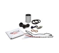 Ricambi Per Guarnizione Del Pistone Del Freno Posteriore Yamaha YZ250 F 2011