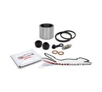 Ricambi Per Sigilli Del Pistone Del Freno Posteriore Honda FES125 S Wing A 2013