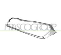 PRASCO SK0342305 Telaio, Griglia radiatore