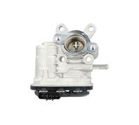 Valvola EGR NRF 48660