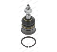 RICAMBIO AFTER MARKET