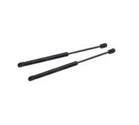 Ricambio Car Bonnet Gas Springs Per Hyundai Eon 2012-2019