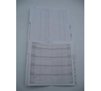 RICAMBIO INTERNO PER PLANNING MENSILE 2025 MEMORELLO F.TO 8.7X15.3 CM ART.176VQ PVC ALFA