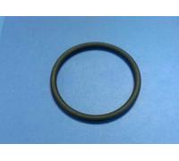 Ricambio INTEX Anello per Adattatore Trasparente Pompa Sabbia 28644 11724