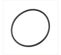 RICAMBIO O-RING PER ELETTROPOMPA PERIFERICA IN GHISA Ricambi