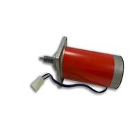 RICAMBIO ORIGINALE DITEC 6Z32R Motore completo 24 Vcc per NEOS 600EHSF (Superfas