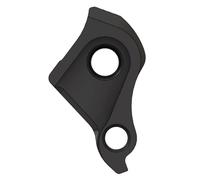 Ricambio per gancio deragliatore universale SRAM UDH | D798 Pilo