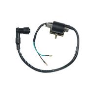 Ricambio Per Moto Per 110Cc 125Cc 140Cc Set Bobine Accensione Unità CDI Raddrizzatore E Regolatore Adatto Per Bobine Accensione Motociclette Bobina Accensione Sostituzione(High-voltage package)